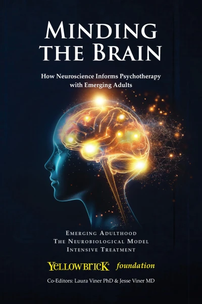 Minding the Brain: How Neuroscience Informs Psychotherapy with Emerging Adults